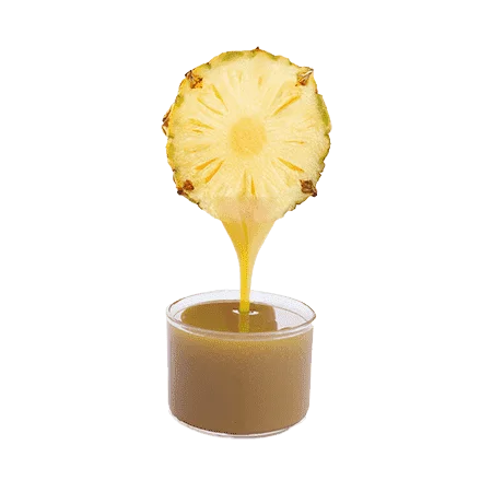 PREMIUM VIETNAM PINEAPPLE JUICE CONCENTRATE 
