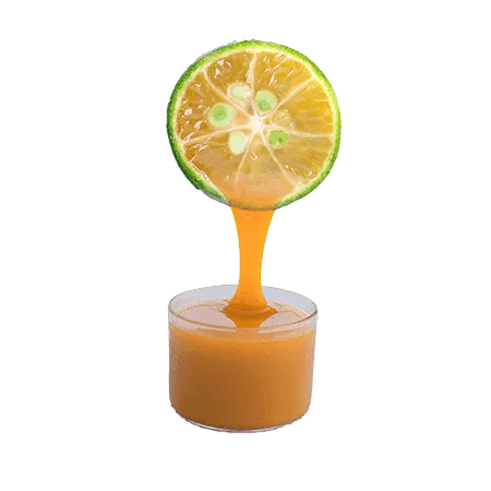 PREMIUM VIETNAM CALAMANSI JUICE CONCENTRATE
