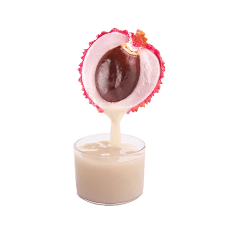 PREMIUM VIETNAM LYCHEE JUICE CONCENTRATE