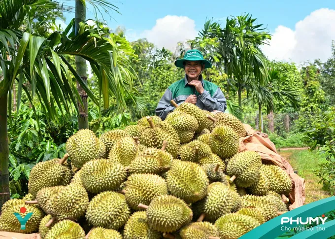 Đắk Lắk Durian Festival 2026, Phú Mỹ Fertilizer, Durian export standards Vietnam.